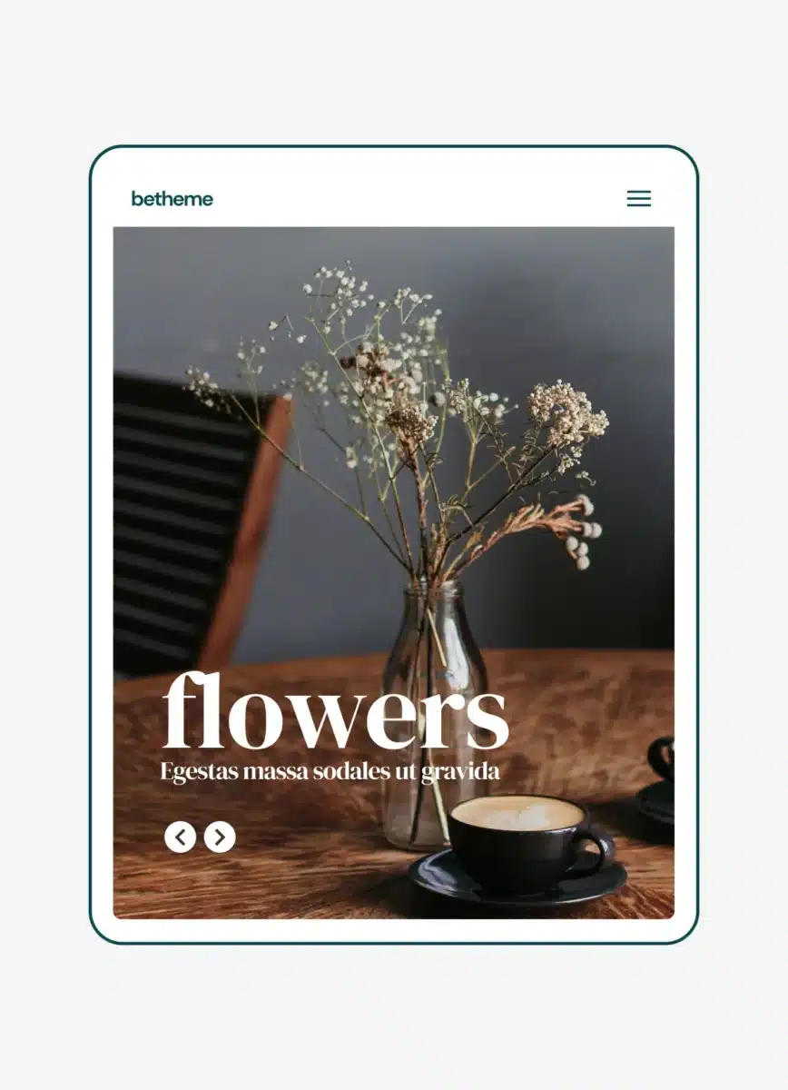 beagency8 portfolio pic4 Servicios Plantilla