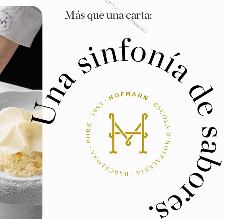 roiandco hofmann diseno desarrollo web 1 Creatividad y desarrollo